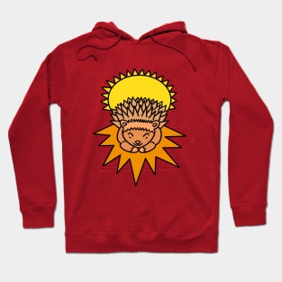 Cartoon baby hedgehog Hoodie